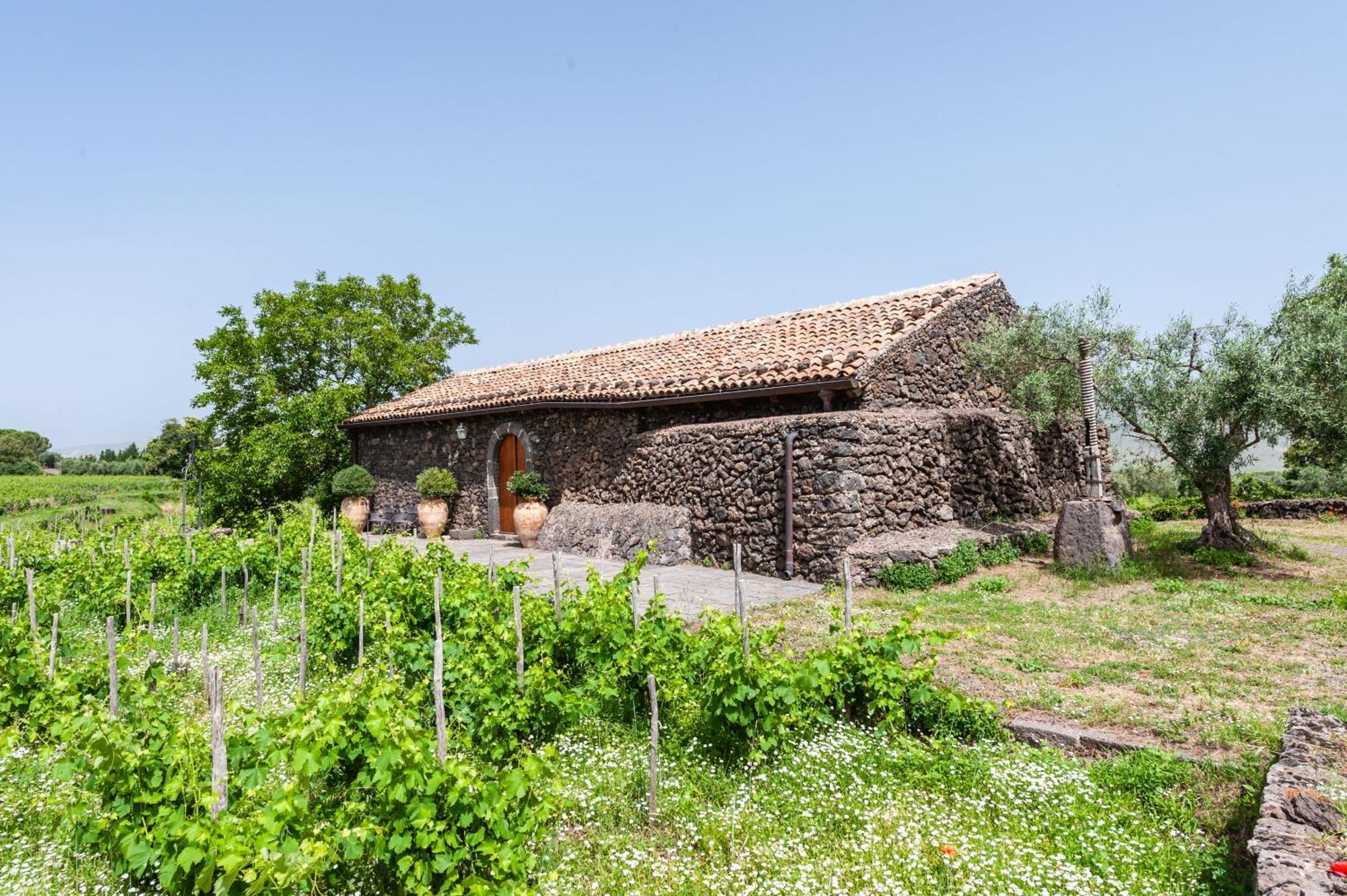 Terrazze Dell'Etna - Country Rooms And Apartments Randazzo Zewnętrze zdjęcie